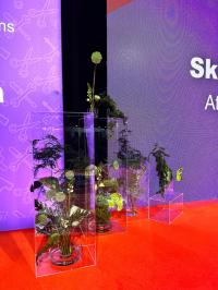 FLORISTIKAS RISINĀJUMI KONFERENCĒ